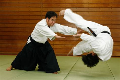 aikido video clips aikido techniques